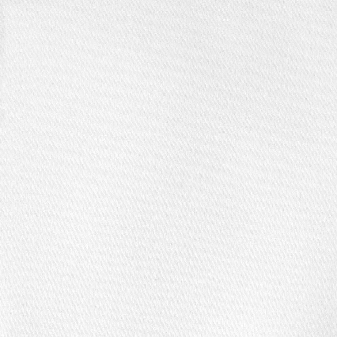 Let me scale your brand